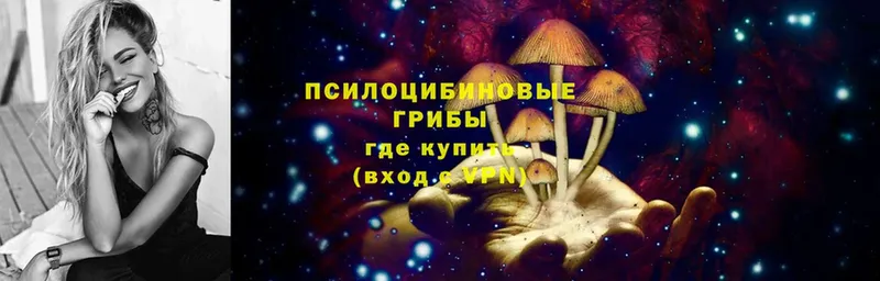 Псилоцибиновые грибы Magic Shrooms  ссылка на мегу ССЫЛКА  Бежецк 